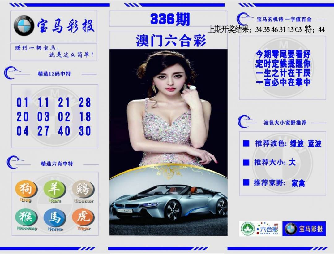 宝马彩报