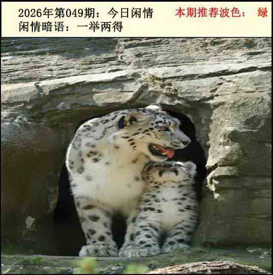 图库