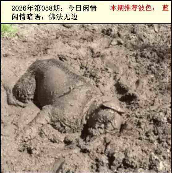 图库