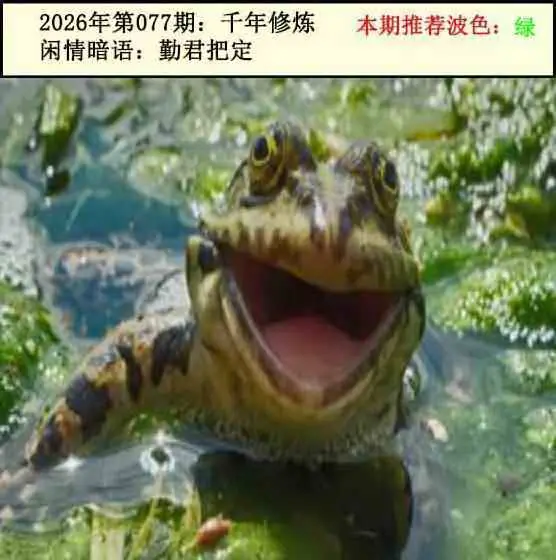 图库