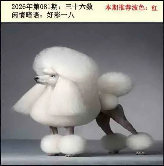 图库